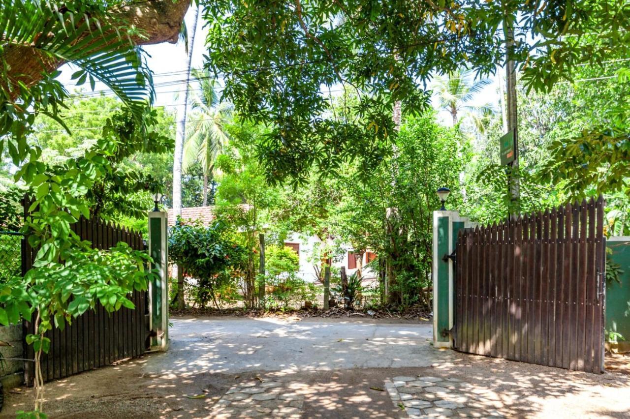 Julia Safari Inn Tissamaharama Bagian luar foto